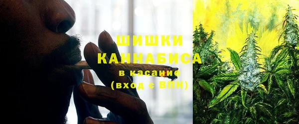ПСИЛОЦИБИНОВЫЕ ГРИБЫ Алексеевка