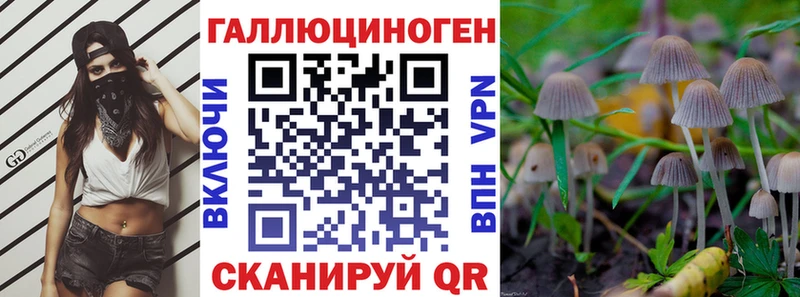 Галлюциногенные грибы Psilocybe  Санкт-Петербург 